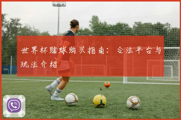 世界杯赌球购买指南:合法平台与玩法介绍