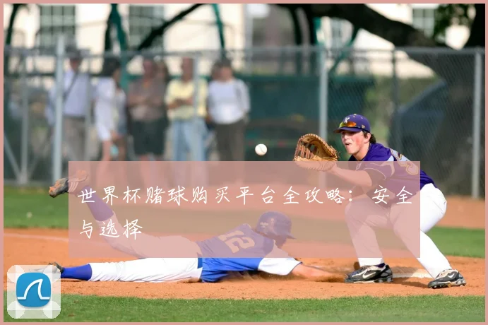 世界杯赌球购买平台全攻略：安全与选择