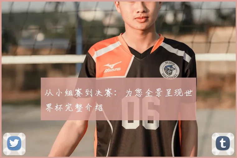 从小组赛到决赛:为您全景呈现世界杯完整介绍